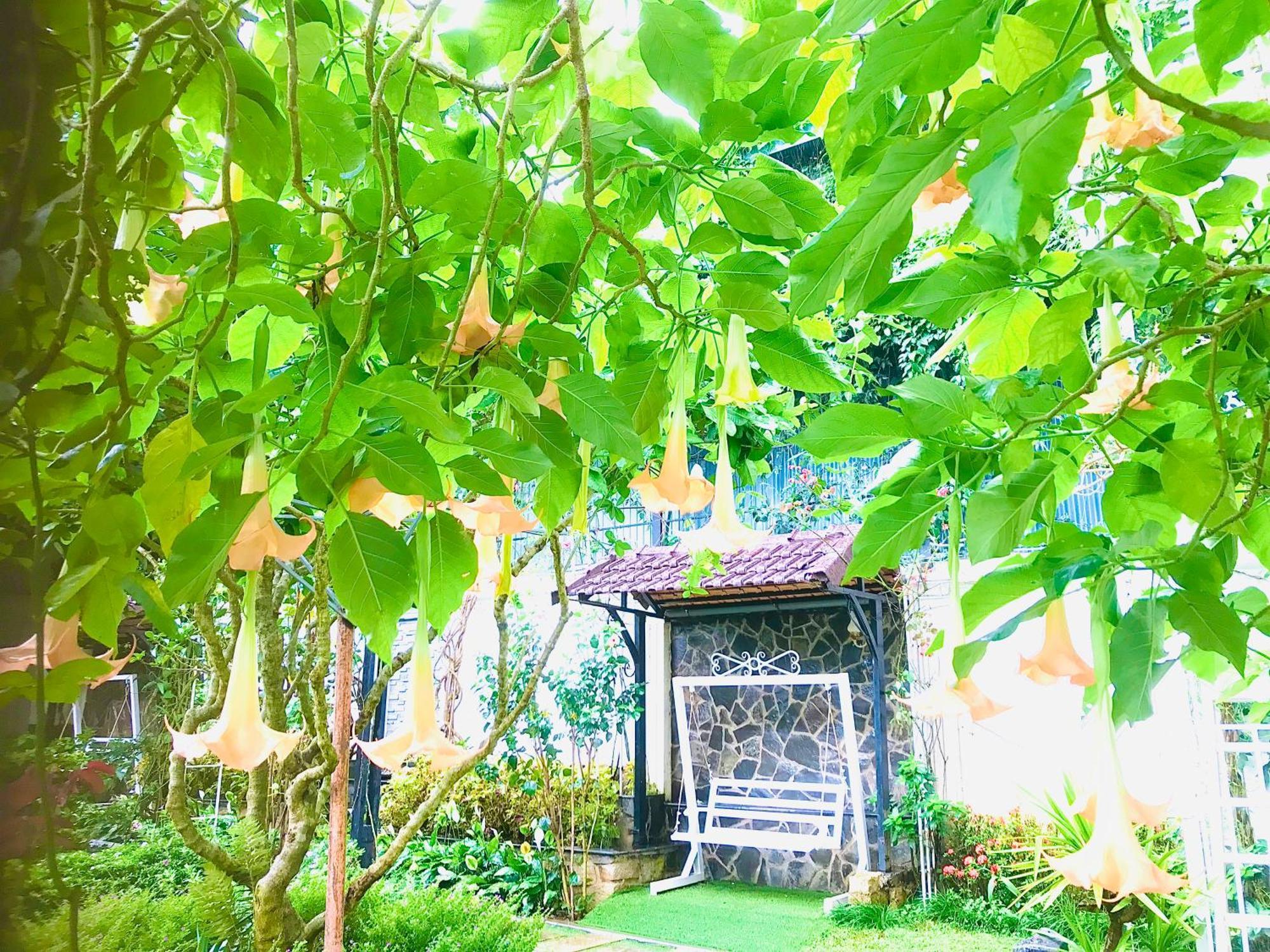Hotel Hoa NáNg Bao Loc Exteriör bild