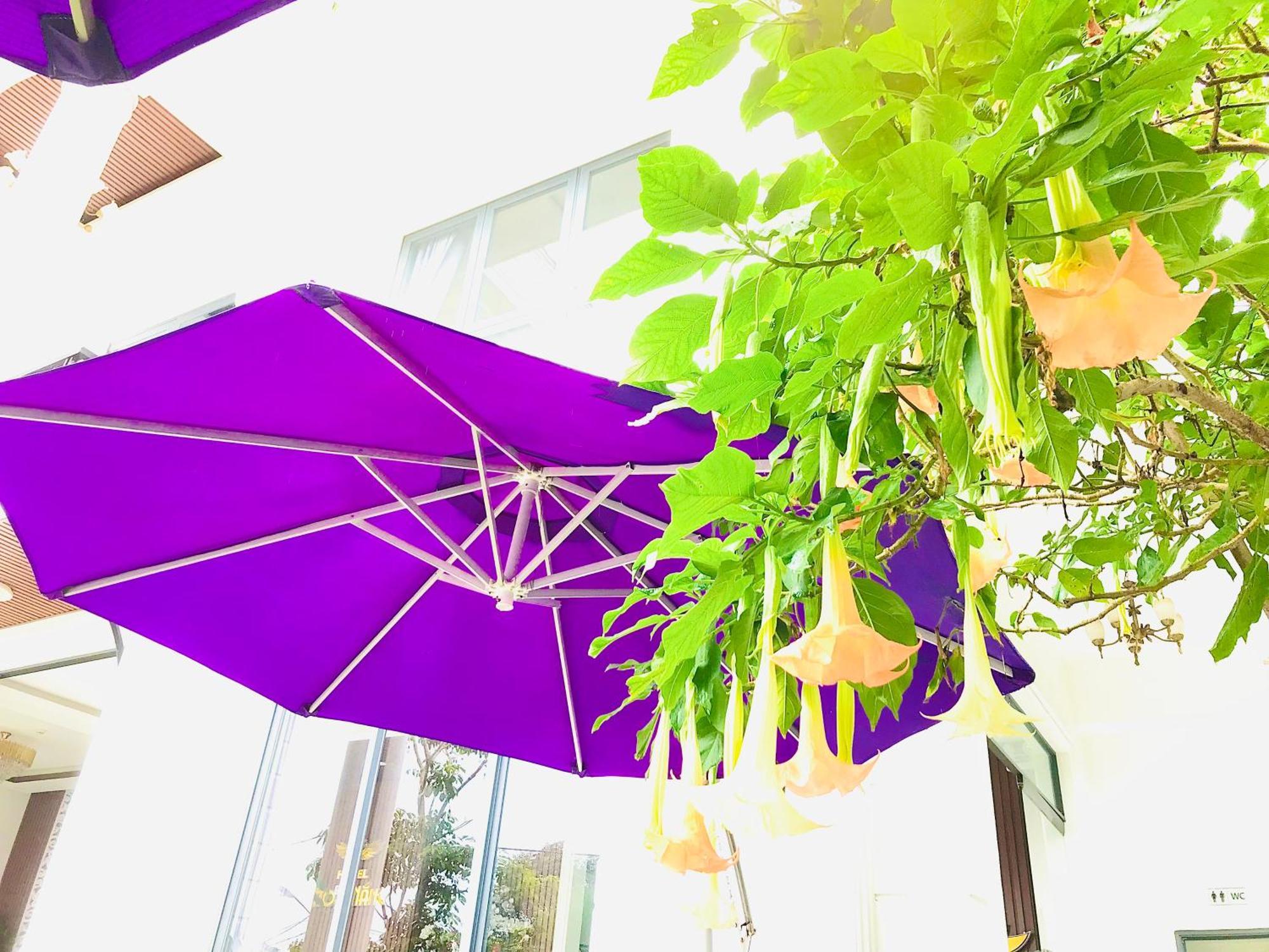 Hotel Hoa NáNg Bao Loc Exteriör bild