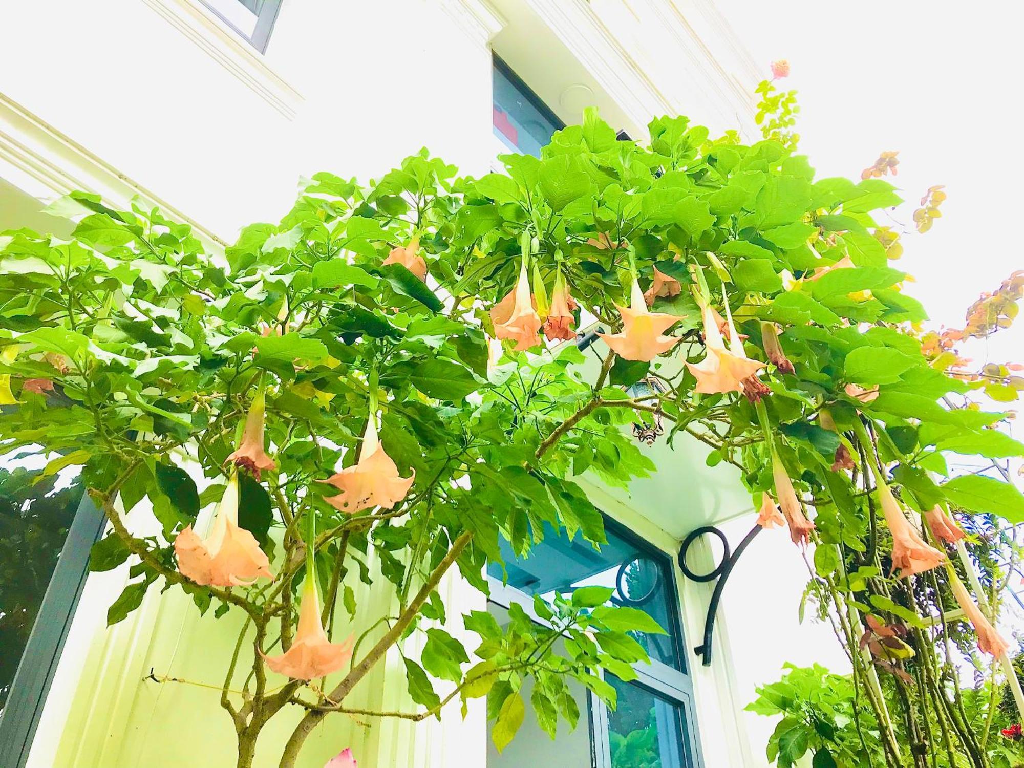 Hotel Hoa NáNg Bao Loc Exteriör bild