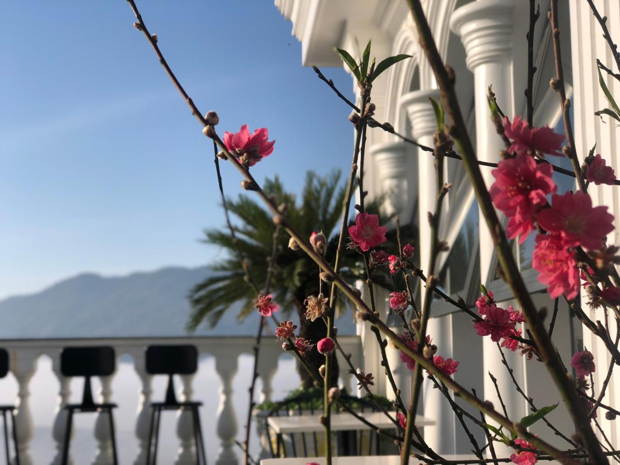Hotel Hoa NáNg Bao Loc Exteriör bild