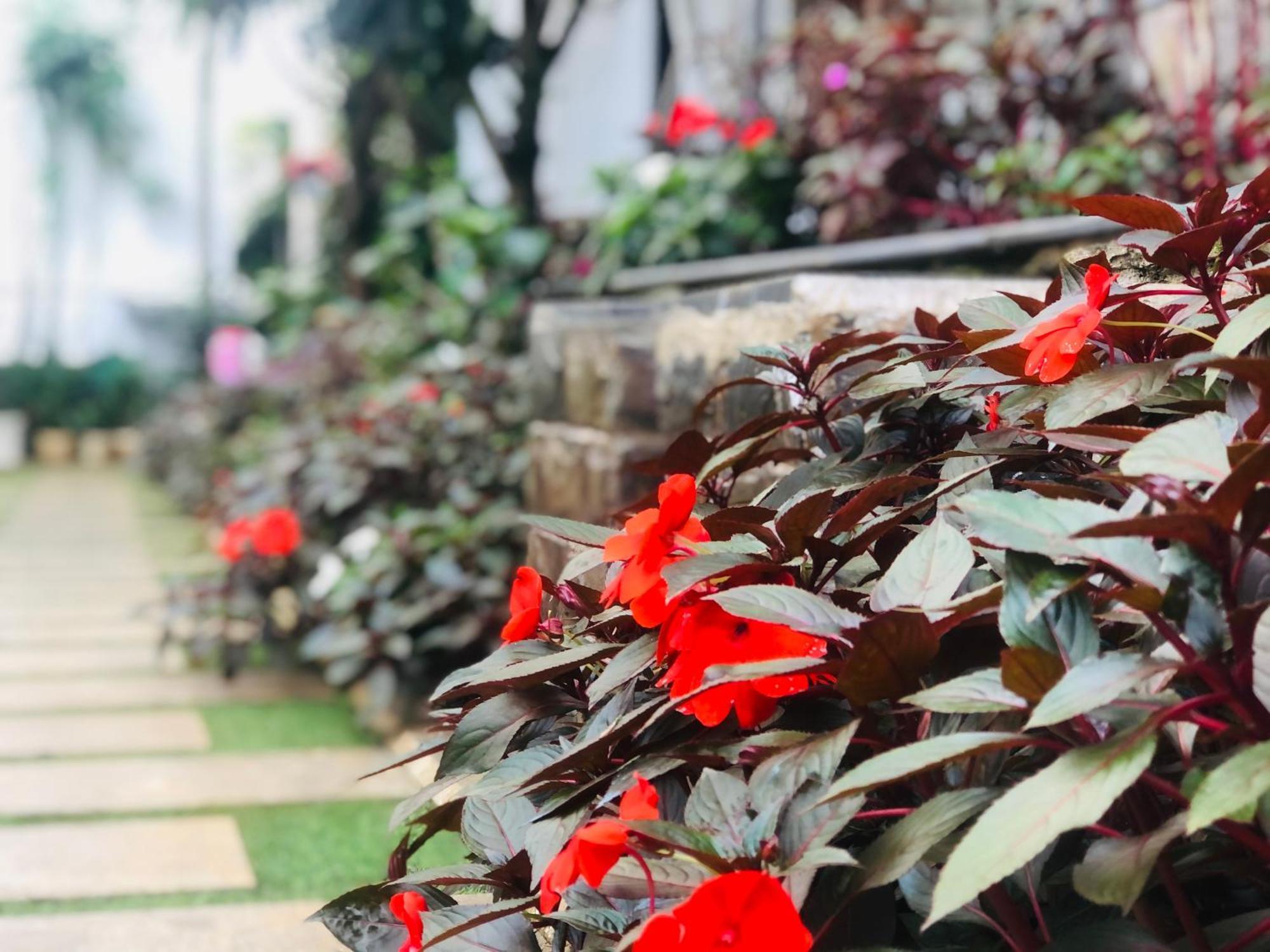Hotel Hoa NáNg Bao Loc Exteriör bild